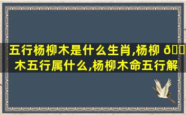 五行杨柳木是什么生肖,杨柳 🐘 木五行属什么,杨柳木命五行解析
